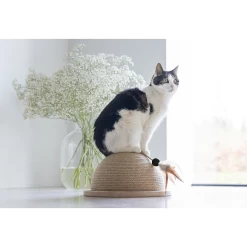 Designed By Lotte Halve Krabbol Vivi -Happy Paws Verkoop designed by lotte halve krabbol vivi 221562 1500 none