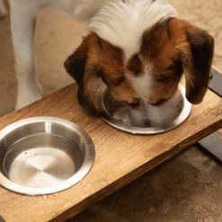 Designed By Lotte Houten Dinerset Karinto -Happy Paws Verkoop designed by lotte houten dinerset karinto 164311 2000 none