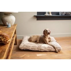 Designed By Lotte Xanti Hondenkussen -Happy Paws Verkoop designed by lotte xanti hondenkussen 188127 2000 none