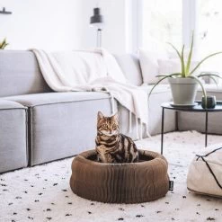 District 70 Maze -Happy Paws Verkoop district 70 maze 190927 0500 none