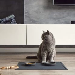 District 70 Serve Placemat -Happy Paws Verkoop district 70 serve placemat 190909 0500 none