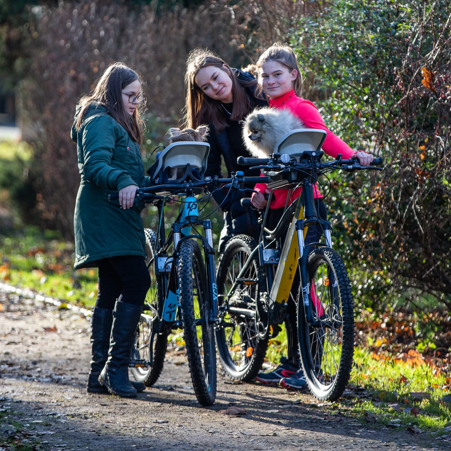 Dogrider Dog Seat 7 Dogrider Dog Seat - Afbeelding 7