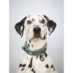 DWAM Halsband Boho Juan 21 DWAM Halsband Boho Juan -Happy Paws Verkoop dwam halsband boho juan 132080 1000 none