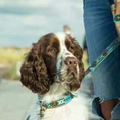 DWAM Halsband Boho Juan 22 DWAM Halsband Boho Juan -Happy Paws Verkoop dwam halsband boho juan 133658 0500 none