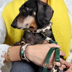 DWAM Halsband Ivy 25 DWAM Halsband Ivy -Happy Paws Verkoop dwam halsband ivy 180688 1000 none