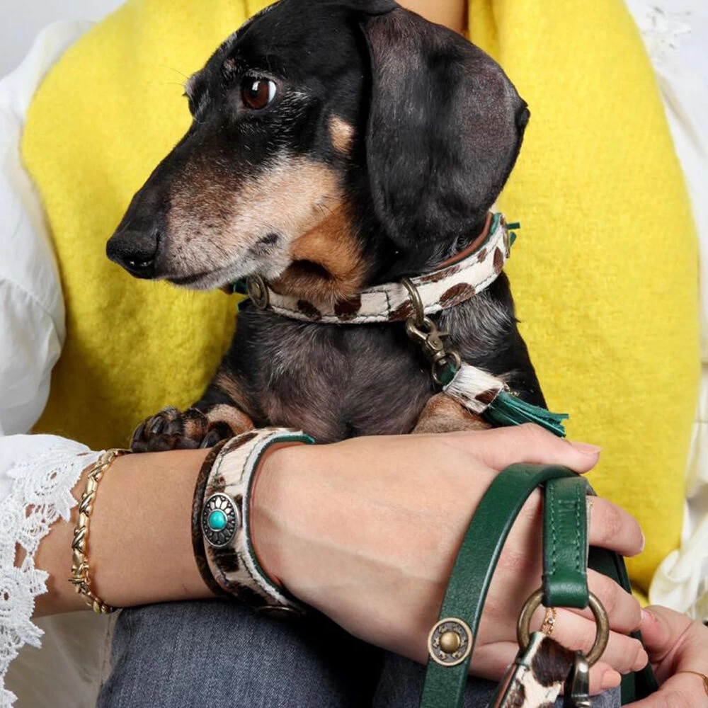 DWAM Halsband Ivy 13 DWAM Halsband Ivy - Afbeelding 13