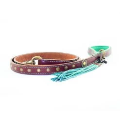 DWAM Hondenriem Joe 9 DWAM Hondenriem Joe -Happy Paws Verkoop dwam hondenriem joe 161917 1000 none