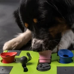 Eat Slow Live Longer Puzzle Antischrok Voerbak 19 Eat Slow Live Longer Puzzle Antischrok Voerbak -Happy Paws Verkoop eat slow live longer puzzle antischrok voerbak 220720 0500 none