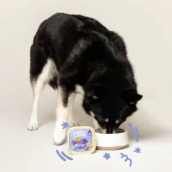 Edgard & Cooper Adult - Rund & Eend - Kuipje -Happy Paws Verkoop edgard cooper adult rund eend kuipje 168612 2000 none