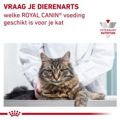 Royal Canin Urinary S/O Kat -Happy Paws Verkoop eogY4Y9VYmtQMb0RC7upcWhheC1Gn4 metaVVJJTkFSWS1TTy1MT0FGLTcuanBn