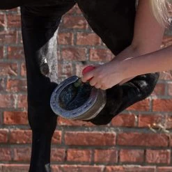 Equi Protecta Blue Wonder Gel -Happy Paws Verkoop equi protecta blue wonder gel 161240 1000 none