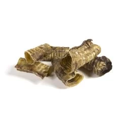 Happy Paws Verkoop -Happy Paws Verkoop f6b49f221f4e8a7da2eda44a94d79b7f8514461795880278732d9ef07e04a55d 3