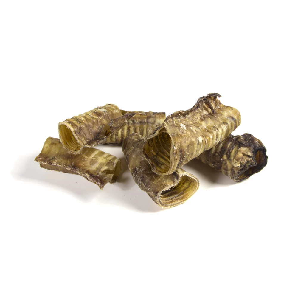 Competition Runderluchtpijp 2 Competition Runderluchtpijp - Afbeelding 2