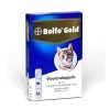 Bolfo Gold Kat
