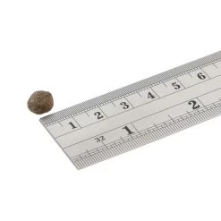 Fish4Dogs Finest Adult Complete - Zalm Kleine Brok 11 Fish4Dogs Finest Adult Complete - Zalm Kleine Brok -Happy Paws Verkoop fish4dogs finest adult complete zalm kleine brok 160949 1000 none