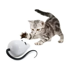 FroliCat RoloRat -Happy Paws Verkoop frolicat rolorat 136585 2000 none