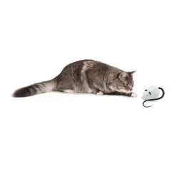 FroliCat RoloRat -Happy Paws Verkoop frolicat rolorat 136588 2000 none