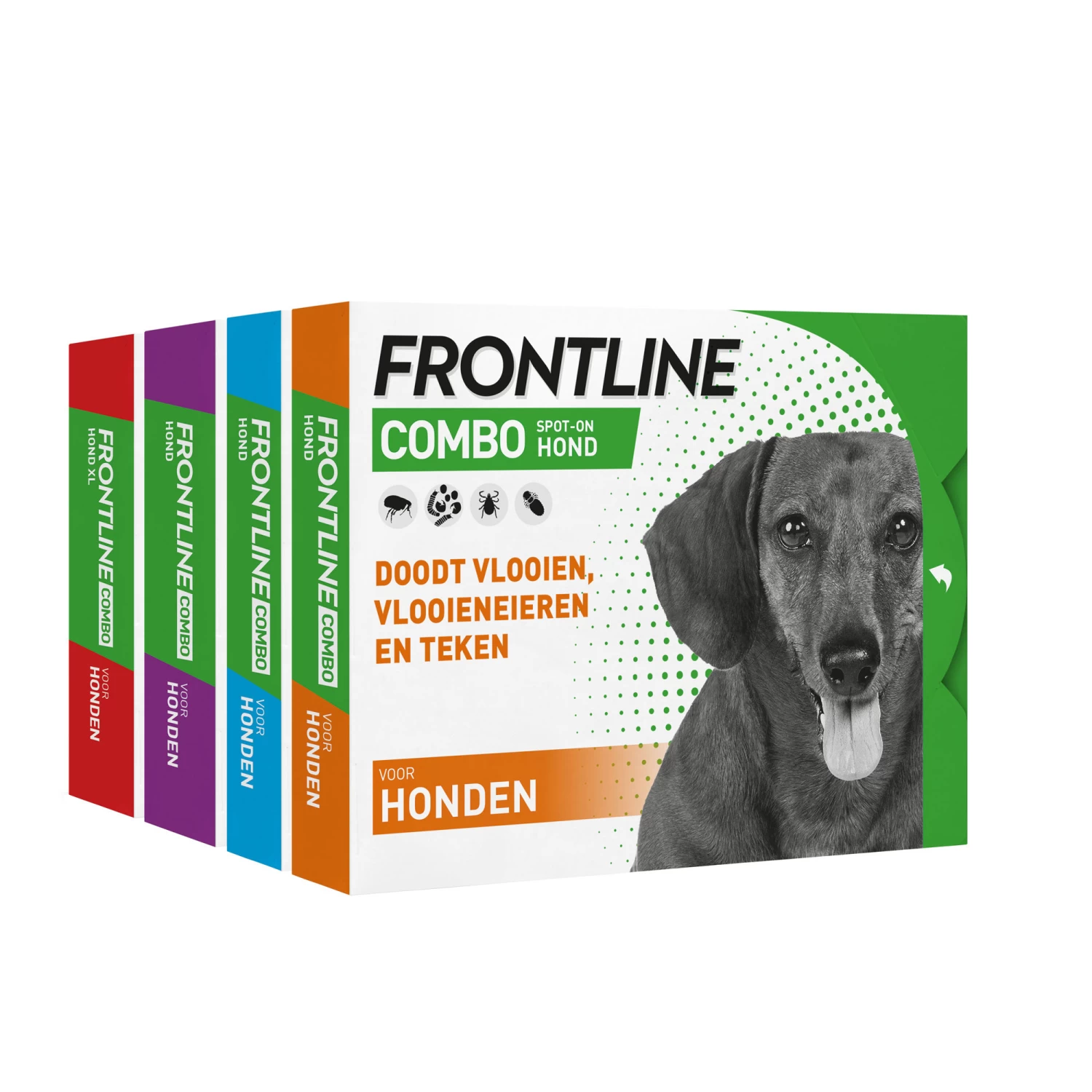 Frontline Combo Line Hond 17 Frontline Combo Line Hond - Afbeelding 17