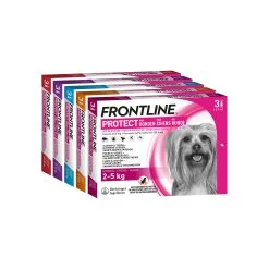 Frontline Protect Hond Spot On -Happy Paws Verkoop frontline protect hond spot on 192809 2000 none