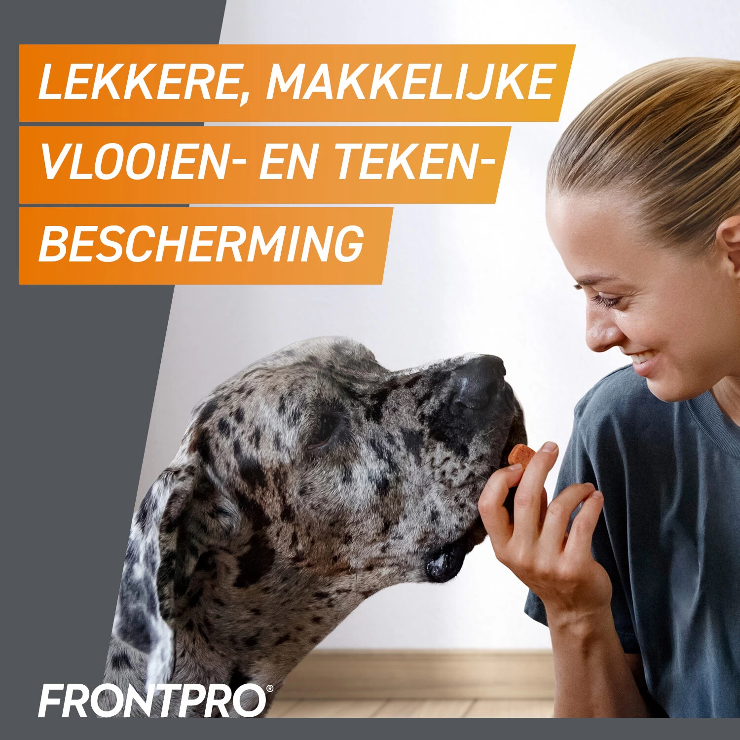 FRONTPRO Kauwtabletten Hond 18 FRONTPRO Kauwtabletten Hond - Afbeelding 18
