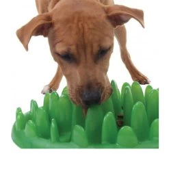 Company Of Animals Green Slow Dog Feeder -Happy Paws Verkoop green slow dog feeder 119422 0500 none