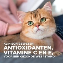 Hill's Science Plan - Feline Adult - Sterilised - Chicken - Maaltijdzakje -Happy Paws Verkoop hills science plan feline adult sterilised chicken 218807 0500 none