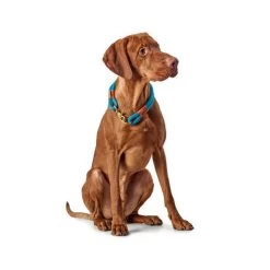 Hunter Halsband Oss -Happy Paws Verkoop hunter halsband oss 116343 0500 none