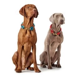 Hunter Halsband Oss -Happy Paws Verkoop hunter halsband oss 146099 0500 none