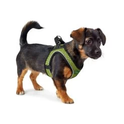 Hunter Hilo Comfort Harnas 37 Hunter Hilo Comfort Harnas -Happy Paws Verkoop hunter hilo comfort harnas 134164 1000 none