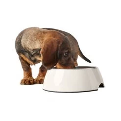 Hunter Melamine Voer- En Drinkbak - Wit -Happy Paws Verkoop hunter melamine voer en drinkbak wit 169567 0500 none