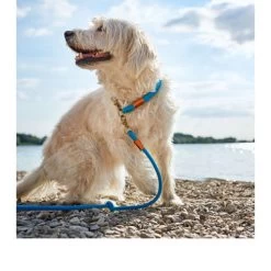 Hunter Verstelbare Riem Oss -Happy Paws Verkoop hunter verstelbare riem oss 116580 0500 none