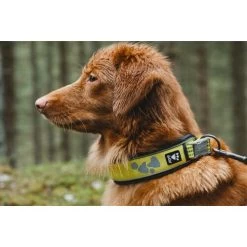 Hurtta Weekend Warrior Collar -Happy Paws Verkoop hurtta weekend warrior collar 189090 0500 none