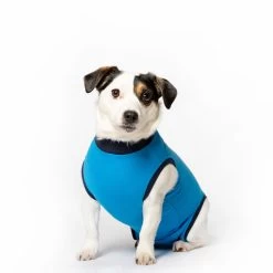Jacketz Medical Body Suit Hond -Happy Paws Verkoop jacketz medical body suit hond m blue 129589 2000 none