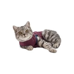 Jacketz Medical Body Suit Kat -Happy Paws Verkoop jacketz medical body suit kat 154147 0500 none
