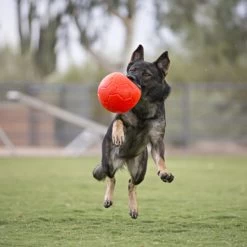 Jolly Soccer Ball -Happy Paws Verkoop jolly soccer ball 162241 0500 none