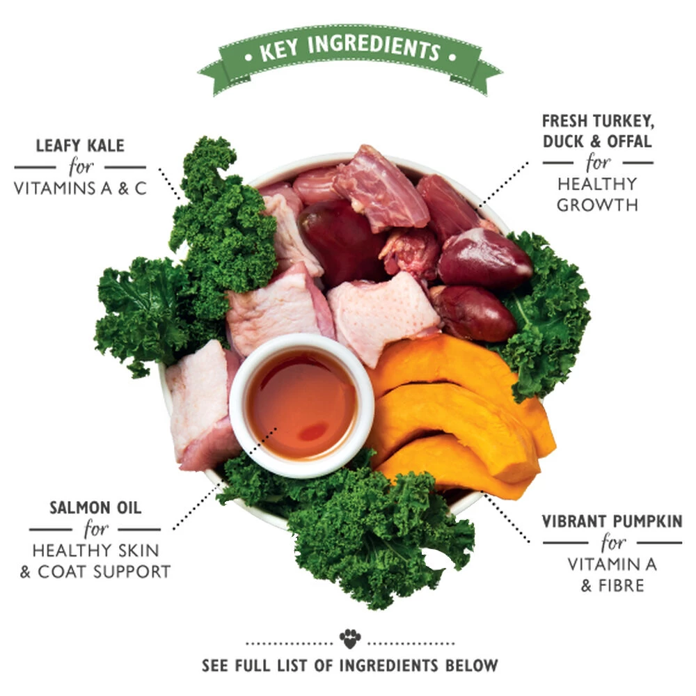 Lily's Kitchen Puppy - Blik - Kalkoen, Eend En Boerenkool 3 Lily's Kitchen Puppy - Blik - Kalkoen, Eend En Boerenkool - Afbeelding 3