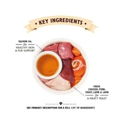 Lily's Kitchen Smooth Paté Senior Kattenvoer - Kuipje 6 Lily's Kitchen Smooth Paté Senior Kattenvoer - Kuipje -Happy Paws Verkoop lilys kitchen smooth pat senior kattenvoer kuipje 194777 0500 none