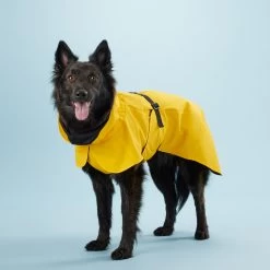 PAIKKA Visibility Raincoat Lite Yellow -Happy Paws Verkoop mW2Bw3791R8VnpD5P3PKMJkiXIFNZn metaUGFpa2thLVZpc2liaWxpdHktUmFpbmNvYXQtTGl0ZS1ZZWxsb3c0LmpwZw