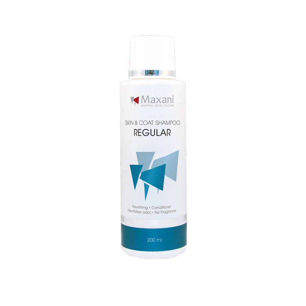 Maxani Regular Shampoo 1 Maxani Regular Shampoo