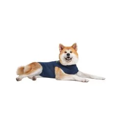 Medical Pet Shirt Hond 33 Medical Pet Shirt Hond -Happy Paws Verkoop medical pet shirt hond 167410 1000 none