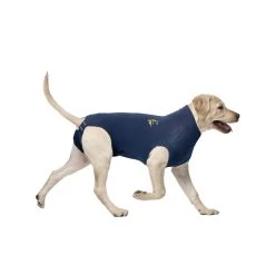Medical Pet Shirt Hond 31 Medical Pet Shirt Hond -Happy Paws Verkoop medical pet shirt hond 167413 1000 none