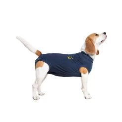 Medical Pet Shirt Hond 37 Medical Pet Shirt Hond -Happy Paws Verkoop medical pet shirt hond 167419 1000 none