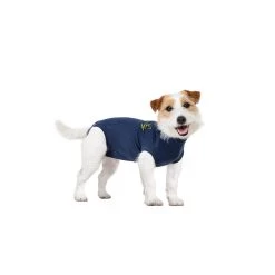Medical Pet Shirt Hond 39 Medical Pet Shirt Hond -Happy Paws Verkoop medical pet shirt hond 167422 1000 none