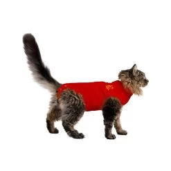 Medical Pet Shirt Kat -Happy Paws Verkoop medical pet shirt kat 167401 1000 none