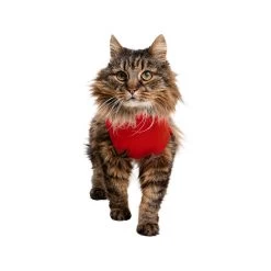Medical Pet Shirt Kat -Happy Paws Verkoop medical pet shirt kat 167404 1000 none