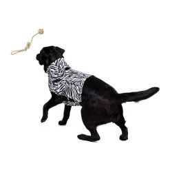 Medical Pet Top Shirt - Zebraprint 18 Medical Pet Top Shirt - Zebraprint -Happy Paws Verkoop medical pet top shirt zebraprint 150701 1000 none