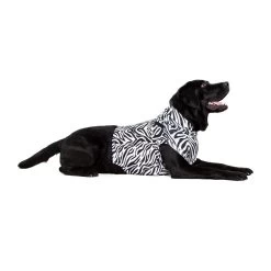 Medical Pet Top Shirt - Zebraprint 19 Medical Pet Top Shirt - Zebraprint -Happy Paws Verkoop medical pet top shirt zebraprint 150704 1000 none