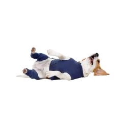 MPS-HLS Achterpootmouwtjes -Happy Paws Verkoop mps hls achterpootmouwtjes 167440 1000 none