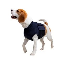 MPS-TOP Shirt 4 In 1 19 MPS-TOP Shirt 4 In 1 -Happy Paws Verkoop mps top shirt 4 in 1 149909 2000 none