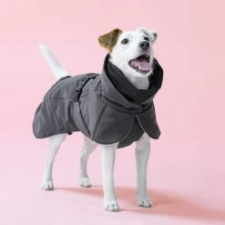 PAIKKA Visibility Winter Jacket -Happy Paws Verkoop paikka visibility winter jacket 217796 2000 none
